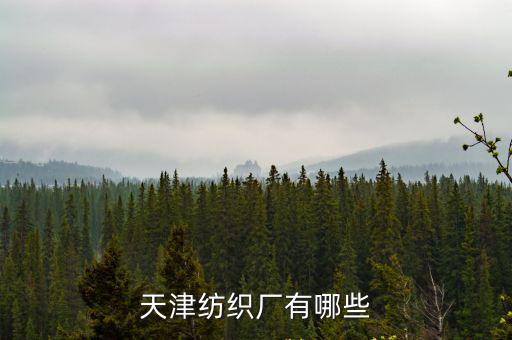 天津市開發區有哪些紡織企業，天津紡織廠有哪些