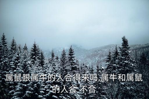 屬鼠跟屬牛的人合得來嗎,屬牛和屬鼠的人合 不合