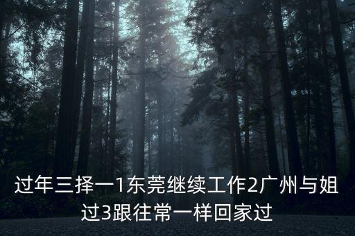 過年三擇一1東莞繼續(xù)工作2廣州與姐過3跟往常一樣回家過