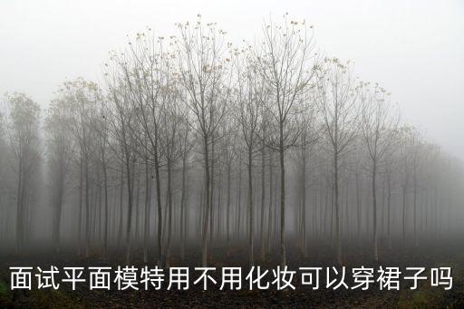 模特面試，去面試模特要注意什么