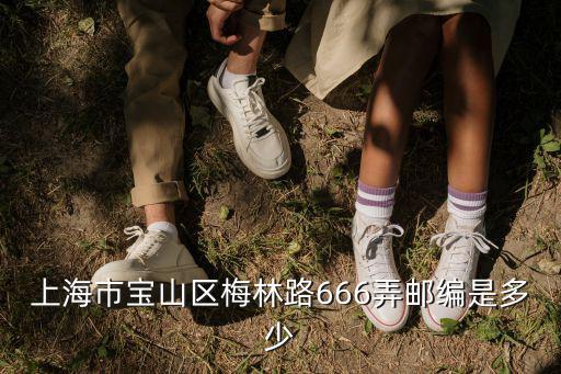 上海市寶山區(qū)梅林路666弄郵編是多少