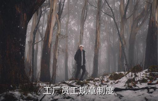 工廠員工規(guī)章制度
