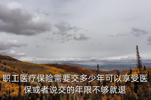 職工醫療保險需要交多少年可以享受醫?；蛘哒f交的年限不夠就退