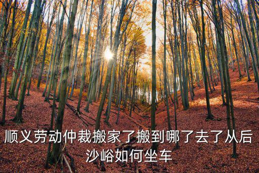 順義勞動仲裁搬家了搬到哪了去了從后沙峪如何坐車