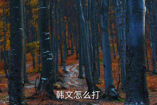 韓文怎么打