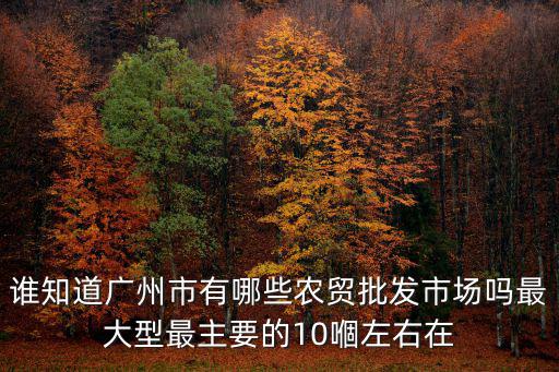 誰知道廣州市有哪些農(nóng)貿(mào)批發(fā)市場嗎最大型最主要的10嗰左右在