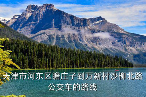 天津市徐莊子到萬新村公交，天津市河東區瞻莊子到萬新村沙柳北路公交車的路線