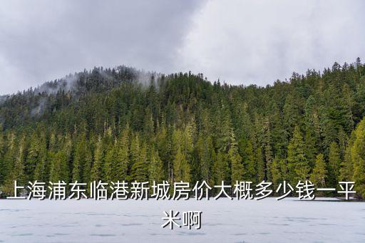 上海臨港新城新開盤樓盤定金，臨港新城老蘆公路江山路樓盤現(xiàn)在新房房?jī)r(jià)是多少錢一個(gè)平方