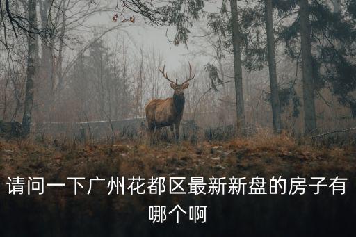 請問一下廣州花都區最新新盤的房子有哪個啊