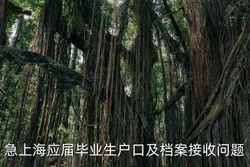 急上海應(yīng)屆畢業(yè)生戶口及檔案接收問題