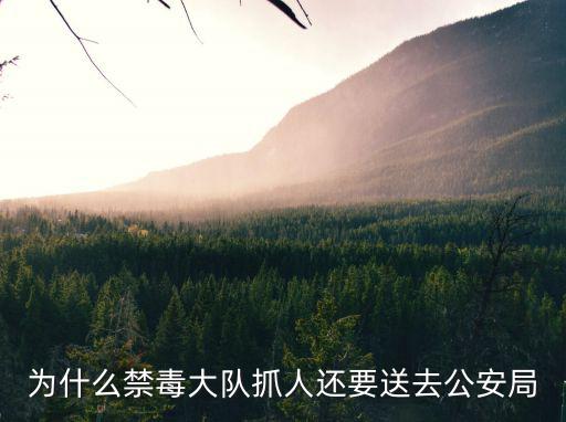 天津市津海區(qū)禁毒大隊長，緝毒大隊如何破門