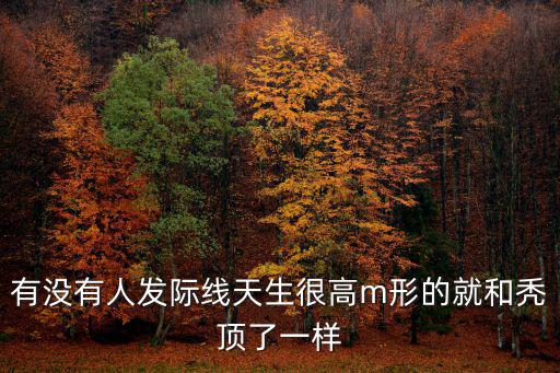 有沒有人發際線天生很高m形的就和禿頂了一樣