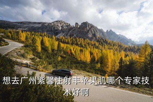 想去廣州紫馨注射豐蘋果肌哪個專家技術好啊