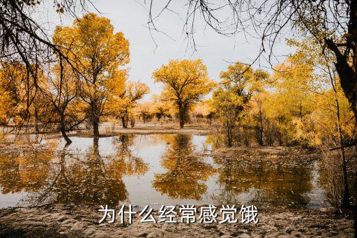 為什么經(jīng)常感覺餓