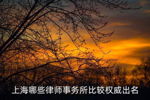 上海哪些律師事務(wù)所比較權(quán)威出名