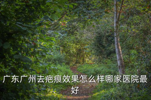 廣東廣州去疤痕效果怎么樣哪家醫(yī)院最好
