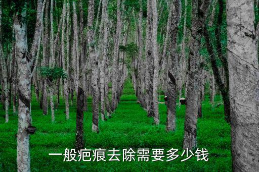 去疤大概多少錢去選廣州健膚放心，廣州去除疤痕疙瘩多少錢