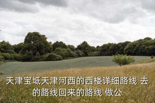 天津市寶坻區23路公交車，天津寶坻天津河西的西樓詳細路線 去的路線回來的路線 做公