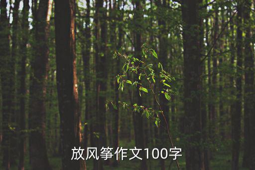 放風箏作文，放風箏作文100字