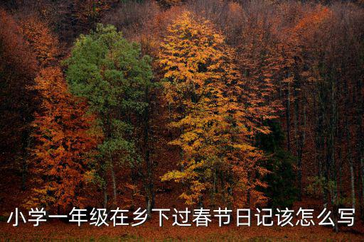 小學(xué)一年級在鄉(xiāng)下過春節(jié)日記該怎么寫