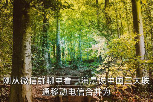 剛從微信群聊中看一消息說中國三大聯(lián)通移動(dòng)電信合并為