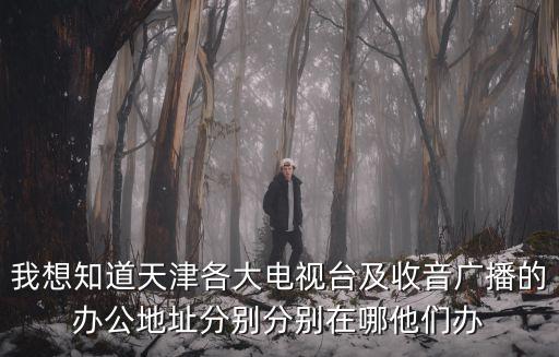 我想知道天津各大電視臺及收音廣播的辦公地址分別分別在哪他們辦