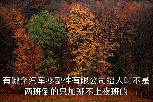 有哪個汽車零部件有限公司招人啊不是兩班倒的只加班不上夜班的