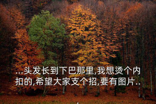 ...頭發(fā)長到下巴那里,我想燙個內(nèi)扣的,希望大家支個招,要有圖片...