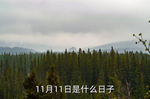11月11日是什么日子