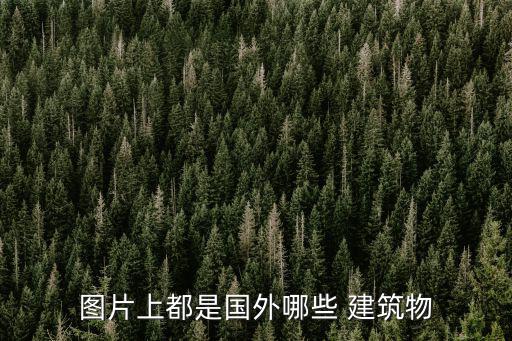 建筑圖片,清華大學(xué)標(biāo)志性建筑之一景山可說是故宮屏障建筑組