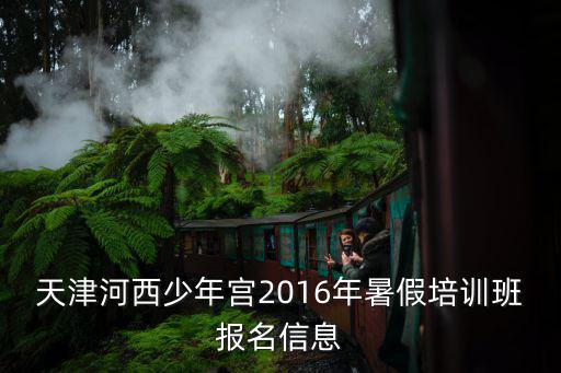 天津河西少年宮2016年暑假培訓班報名信息
