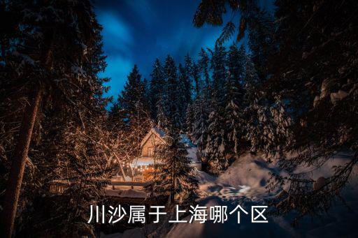 川沙屬于上海哪個區