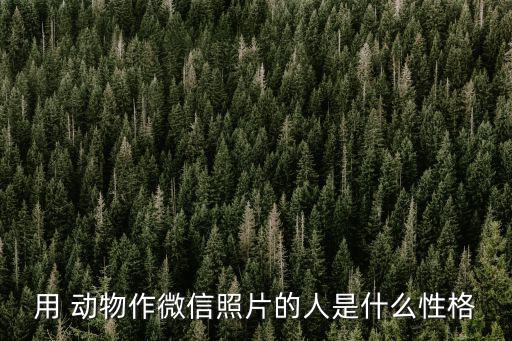 用 動物作微信照片的人是什么性格