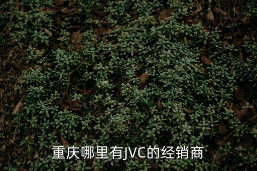 重慶哪里有JVC的經銷商