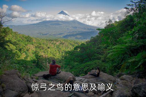 驚弓之鳥的意思及喻義