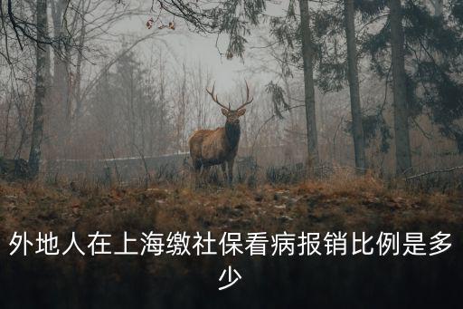 外地人在上海繳社保看病報(bào)銷比例是多少