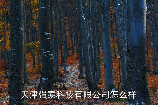 天津市丹強科技有限公司，天津強泰科技有限公司怎么樣