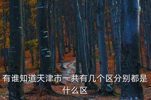 有誰知道天津市一共有幾個區分別都是什么區