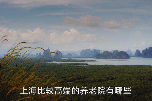 上海比較高端的養(yǎng)老院有哪些