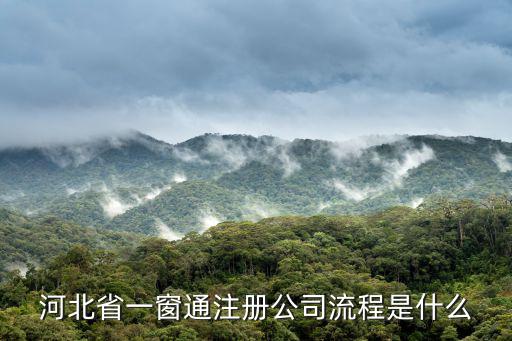 河北省一窗通注冊公司流程是什么