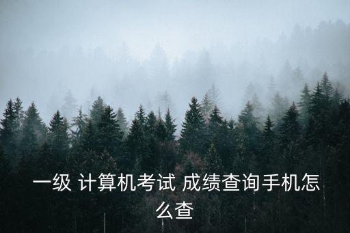  一級 計算機考試 成績查詢手機怎么查