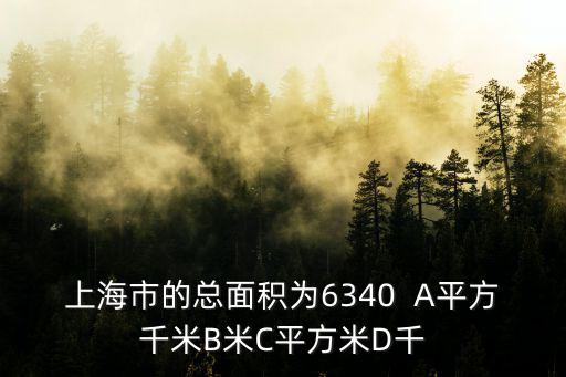 上海市的總面積為6340  A平方千米B米C平方米D千
