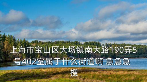 上海市寶山區大場鎮南華苑居委會，上海市寶山區大場鎮南大路190弄5號402室屬于什么街道啊 急急急  搜