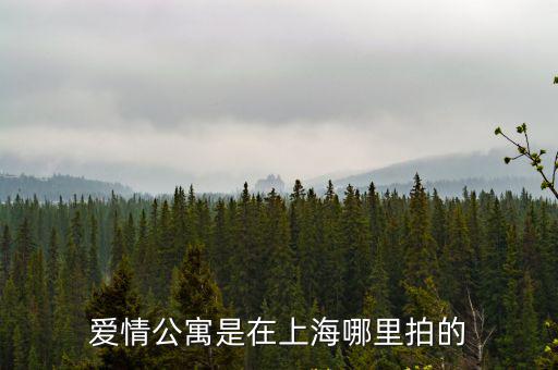 上海市建華公寓，愛情公寓是在上海拍的嗎