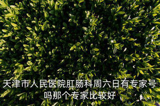 天津市人民醫院肛腸科周六日有專家號嗎那個專家比較好