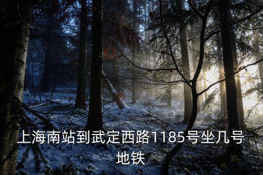 上海市武定路1058號地鐵，上海南站到武定路1185號坐幾號地鐵線
