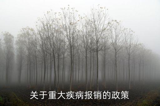 關于重大疾病報銷的政策