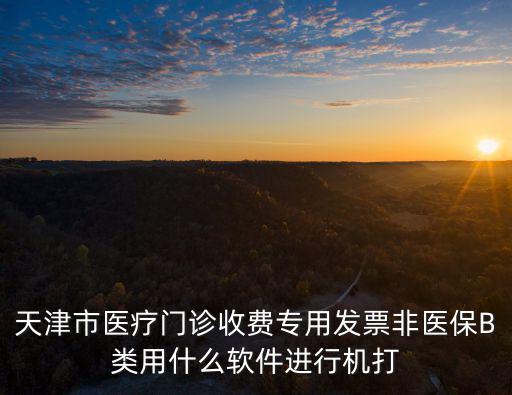 天津市醫療門診收費專用發票非醫保B類用什么軟件進行機打