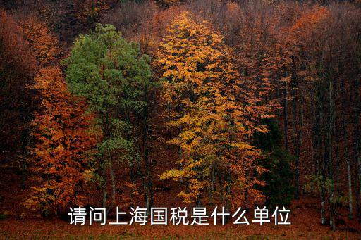 請問上海國稅是什么單位