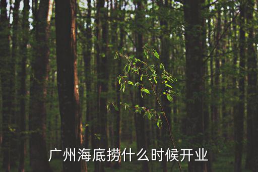 廣州海底撈什么時候開業